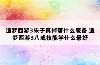 造梦西游3朱子真掉落什么装备 造梦西游3八戒技能学什么最好